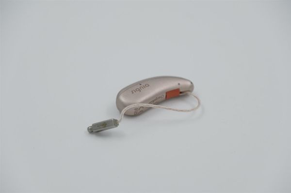 SIGNIA Pure Charge & Go (4177)