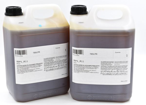 Prija Hair Body Shampoo – mit Ginseing 10l (16819)