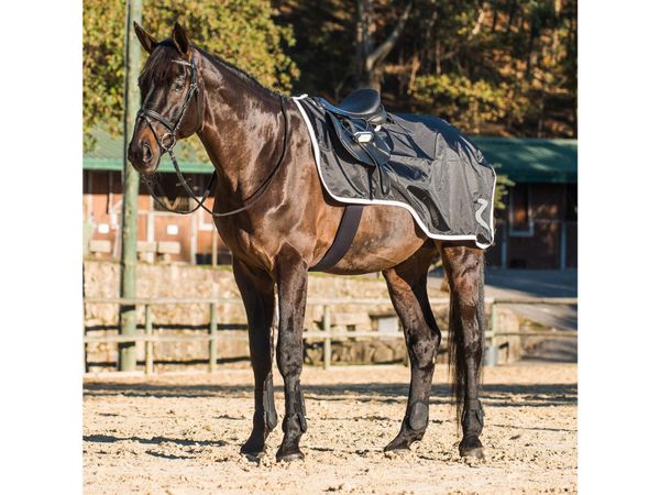 HORZE ProTrek Nierendecke mit Fleece 145 (DIS-136-12)