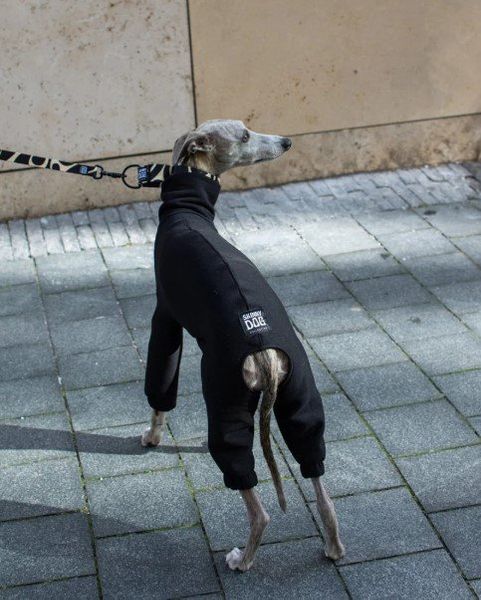 SKINNY DOG COLLECTIVE Overall (18968)