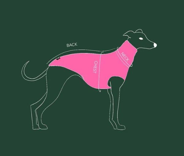 SKINNY DOG COLLECTIVE Overall (18968)