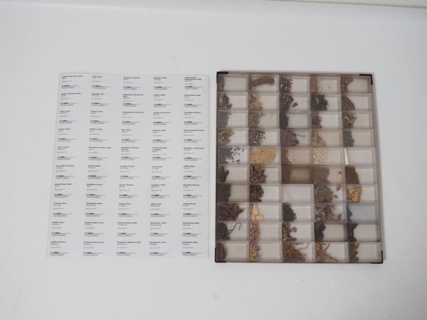 Herbarium der Chinesischen Medizin (100159)