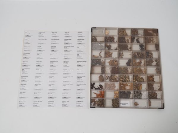 Herbarium der Chinesischen Medizin (100159)