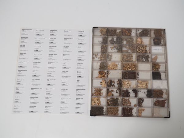 Herbarium der Chinesischen Medizin (100159)