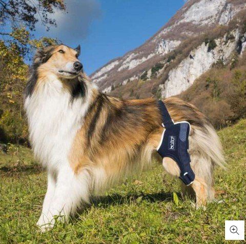 BALTO Knieorthese für Hunde, Links Gr. L (18714)