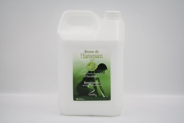 CAMYLLE Brume de Hammam Eucalyptus 5 Liter Dampfbad (17561)