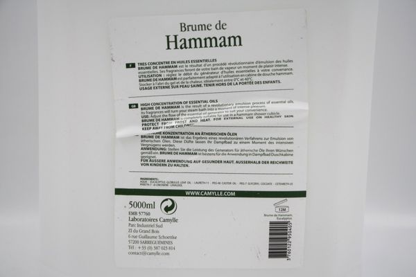 CAMYLLE Brume de Hammam Eucalyptus 5 Liter Dampfbad (17561)