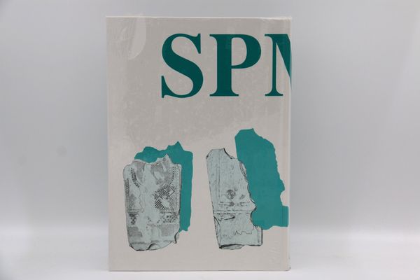 SPM II Schweiz vom Paläolithikum bis frühen Mittelal.(17627)