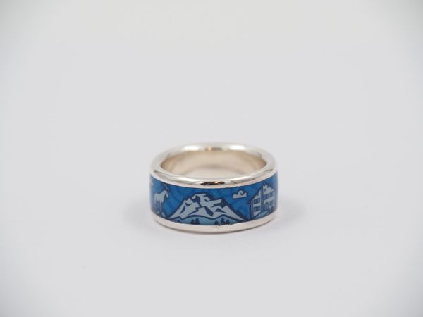 ZEBRA Stadtring Engiadina Gr. 56 – Marine (7885MC)