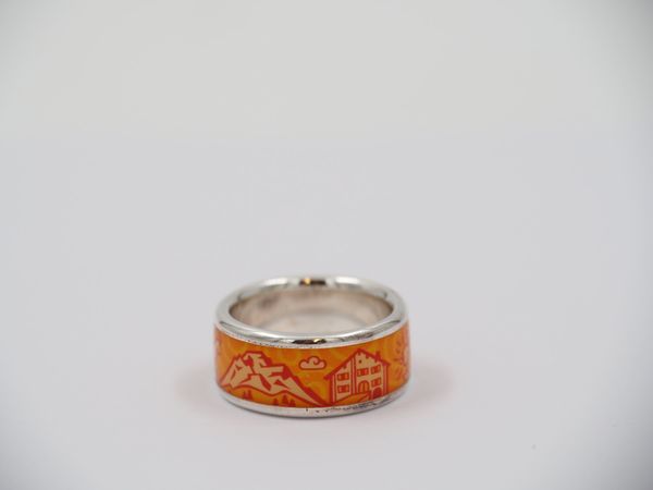 ZEBRA Stadtring Engiadina Gr. 56 – Orange (7893MC)