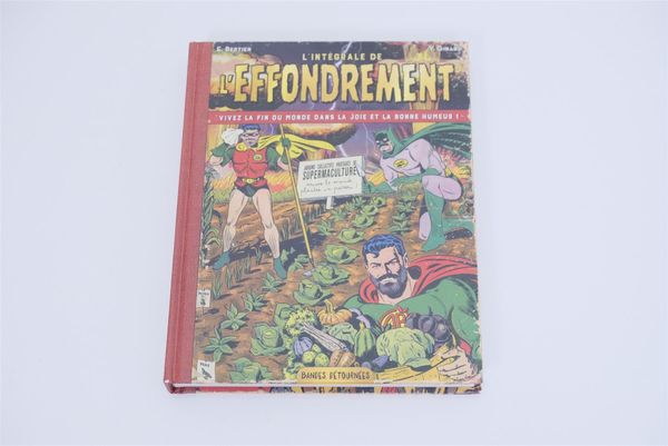 L’Integrale de L’Effondrement (15973)